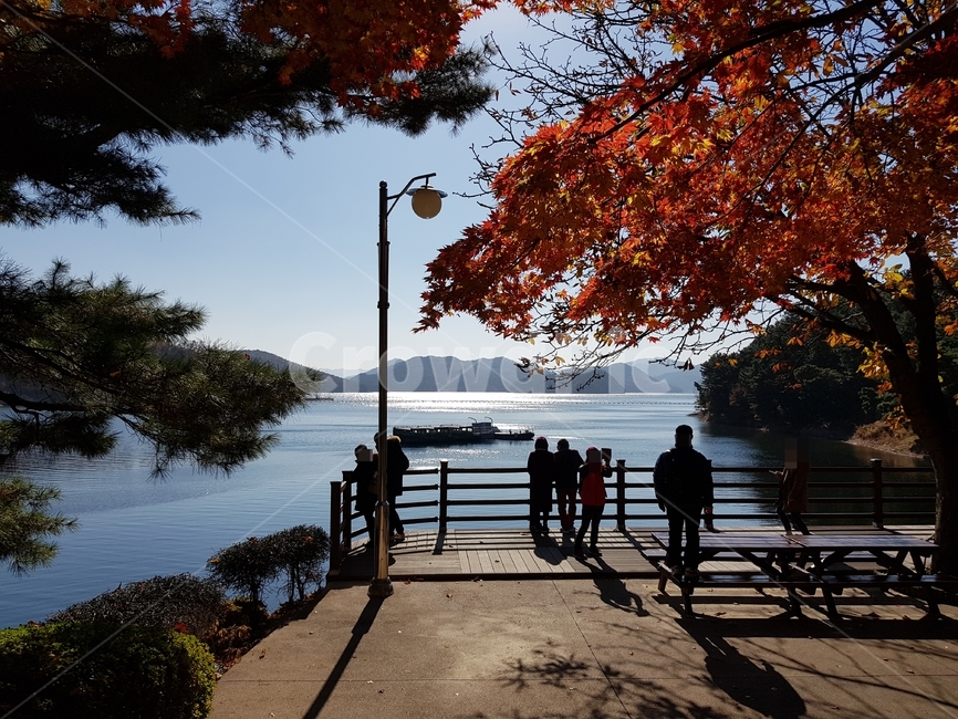 호수단풍,단풍,단풍호수,가을대청호,청남대,대청호,가을청남대,청남대가을,청남대단풍,대청호가을,대청호단풍,대청호수,단풍나무,호수,물,파란하늘,맑은하늘,하늘,물가,단풍나무들