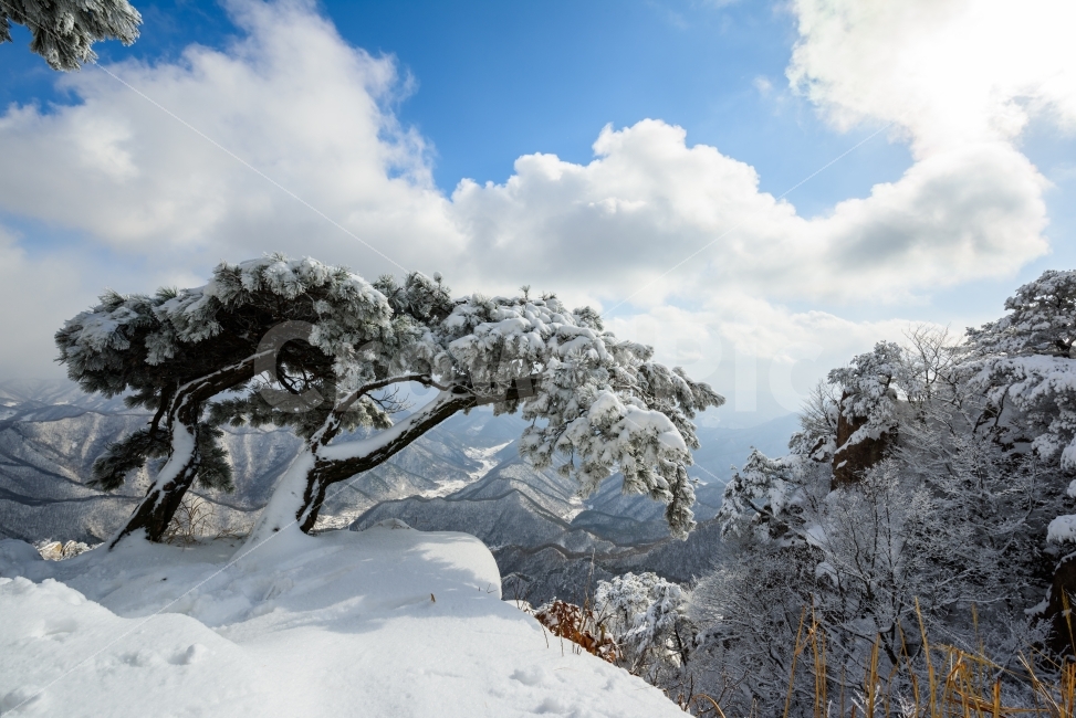 설경,풍경,풍경사진,눈사진,대둔산설경,자연,풍경,nature,landscape,겨울,계절,winter,season,outdoors,옥외,snow,눈