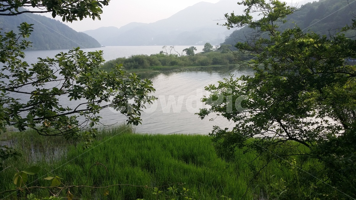 북한강,금대리,강,가평강,숲강,자연,풍경,nature,landscape,water,물,outdoors,옥외