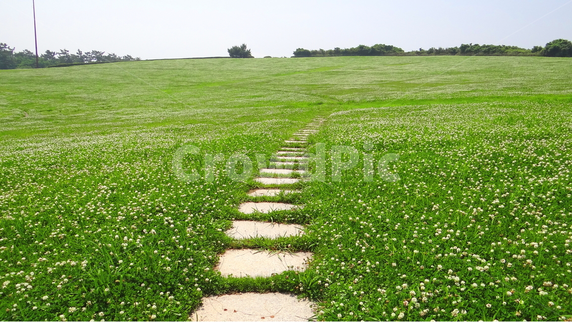공원,길,자연,풍경,여름,녹색,감성,감성사진,park,road,summer,green,sky,하늘,들판,자연,풍경,nature,landscape,grass,잔디,plant,식물,field,들,grassland,목초지,outdoors,옥외