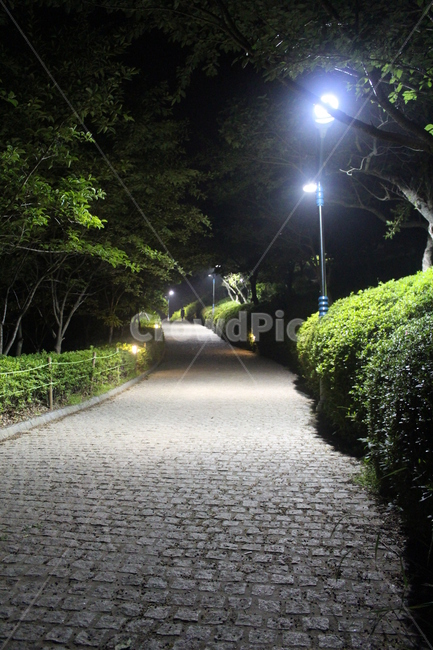 가로등,야경,야경복도,등산로,밤등산로,야경,밤,풍경,nightscape,night,landscape,path,통로,walkway,보도