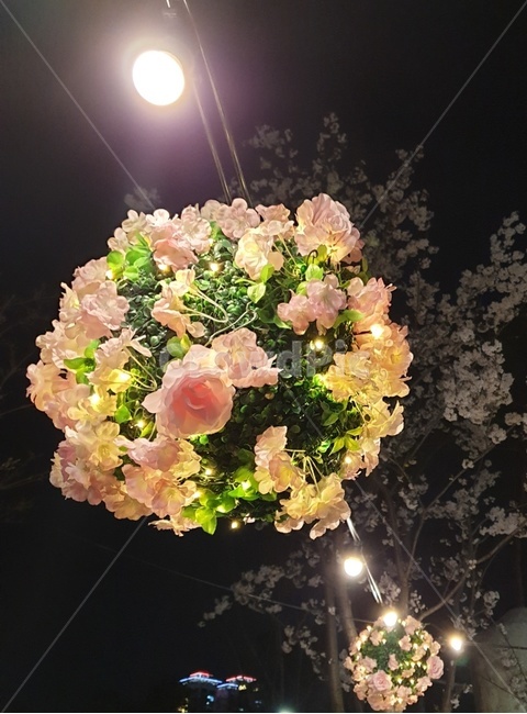 꽃등,꽃,벚꽃축제,등,꽃조명,조명