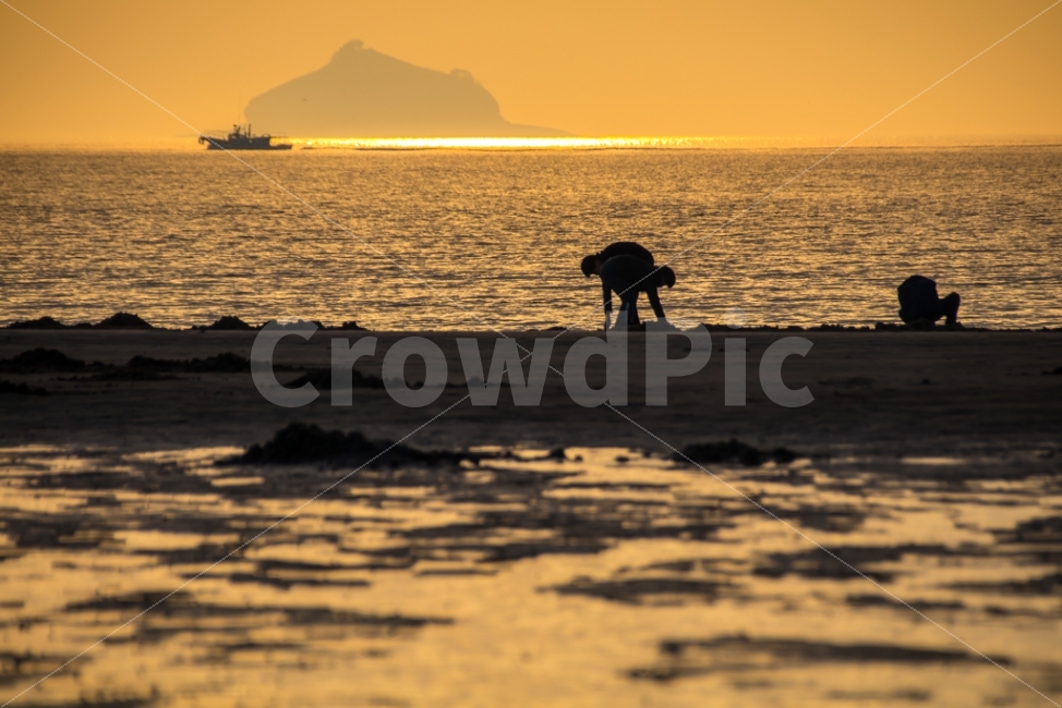 자연,풍경,바다,일몰,석양,노을,하늘,구름,해변,아이들,조개캐기,nature,landscape,sea,sunset,sky,clouds,사람,인물,인간,human,person,자연,풍경,nature,landscape,해변,바다,beach,sea,outdoors,옥외