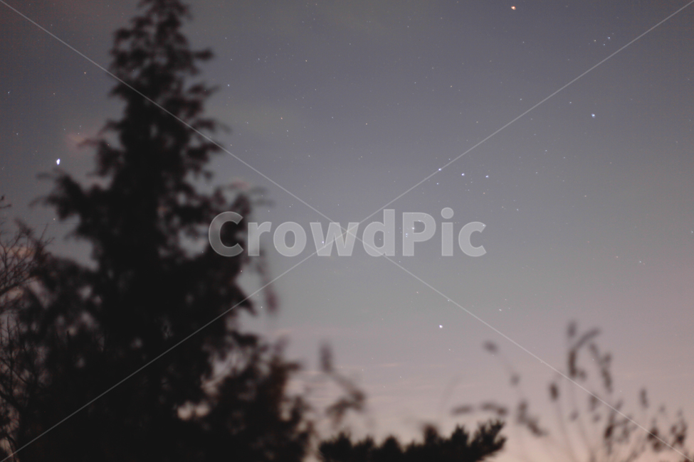 별,밤,밤하늘,하늘,나무,자연,풍경,nature,landscape,야경,밤,nightscape,night,outdoors,옥외,universe,우주,astronomy,천문학,outer space,대기권 밖,starry sky,별이 빛나는 하늘,space