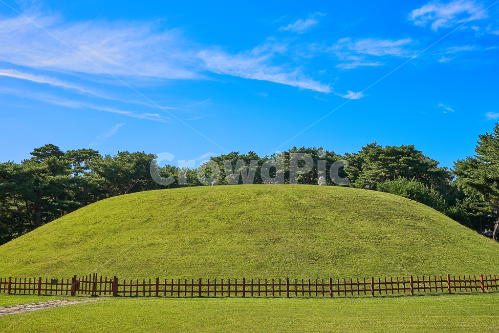 왕릉,정릉,무덤,묘자리,잔디,자연,풍경,nature,landscape,한국전통,한국문화,korean traditional,korean culture,outdoors,옥외,grassland,목초지,field,들,mound,투수판