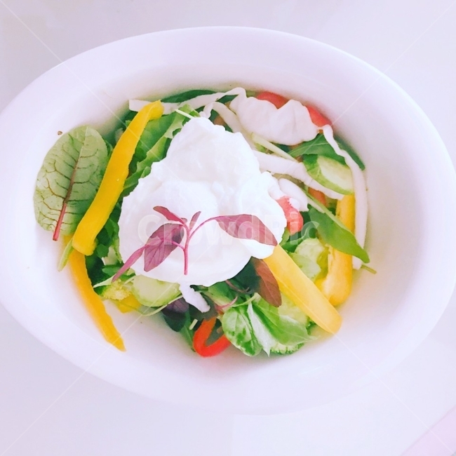 샐러드,음식,플레이팅,반숙,색감,음식,식재료,요리,food,cook,meal,dishes,food reserves