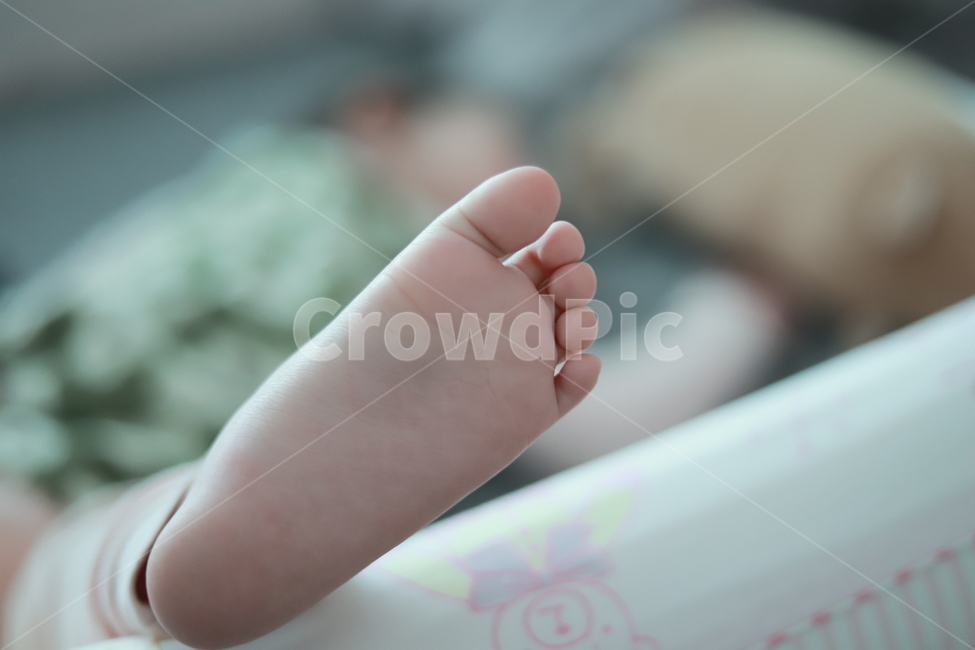 아기발,아기,육아,가족,발가락,베이비,baby,애기,맨발,꿈나라,자는모습,사람,인물,인간,human,person,신체일부,몸,body,어린이,어린아이,child,children,kid