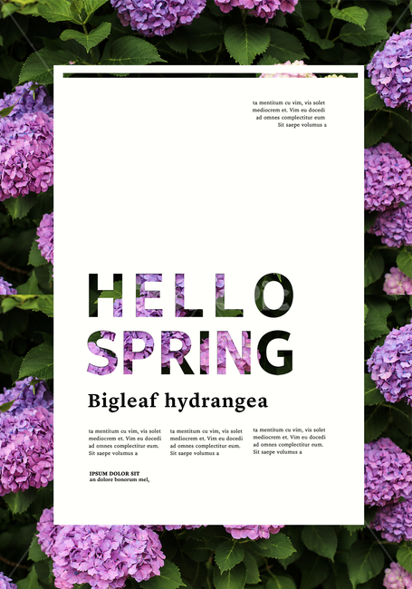 수국,꽃,표지,전단지,브로슈어,카달로그,봄,계절,spring,season,식물,자연,plants,nature,꽃,flower,그래픽,일러스트레이션,graphic,illustration,plant,blossom,lilac,라일락 꽃