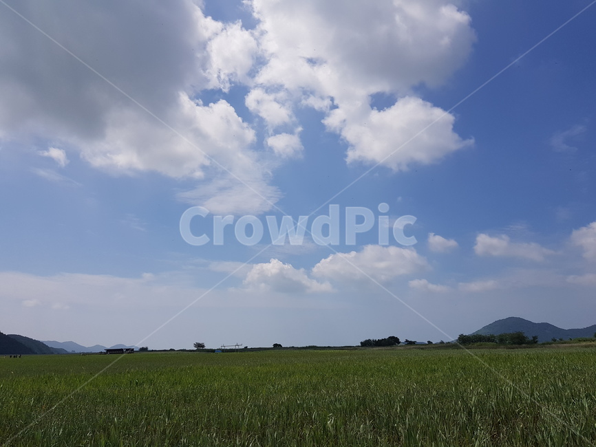 들판,하늘,자연,구름,sky,cloud,nature