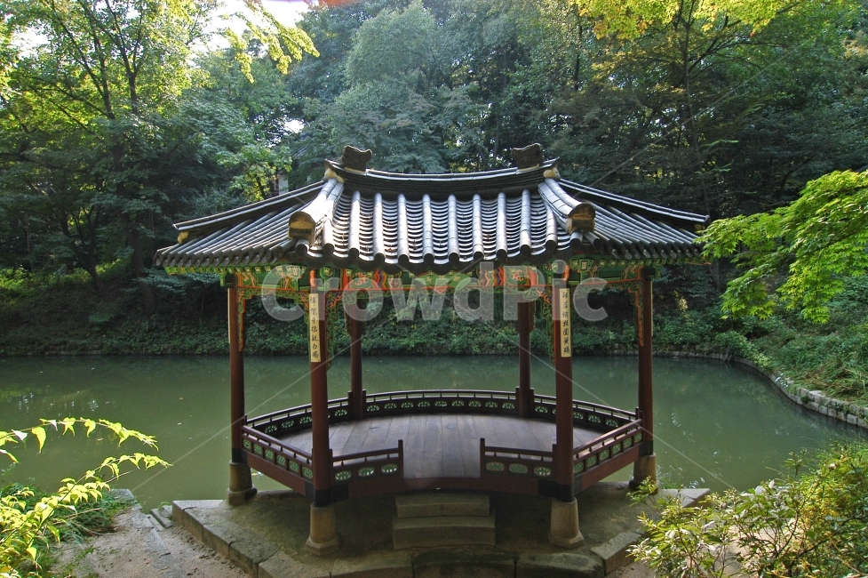 관람정,창덕궁,후원,비원,창덕궁후원,정자,궁,고궁,궁궐,전통,한국,한국전통,전통건축,건축,건축물,전통건축물,문화재,서울,연못,반도지,숲,자연,나무,한국전통,한국문화,korean traditional,korean culture,랜드마크,landmark,tourist attraction,한국랜드마크,한국관광지,한국명소,korea landmark,korea tourist attraction