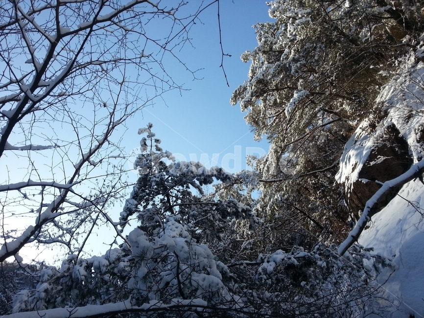 겨울,눈,설산,눈꽃,설경,겨울,계절,winter,season,자연,풍경,nature,landscape