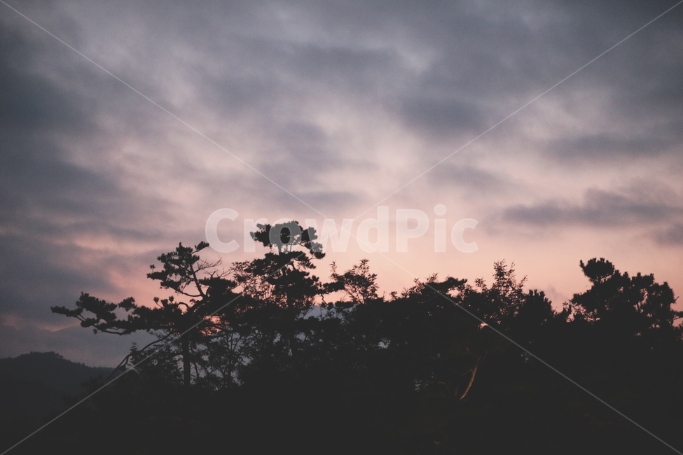 nature,자연,outdoors,옥외,silhouette,실루엣,산,나무,하늘,그림자,노을,자연,풍경,nature,landscape