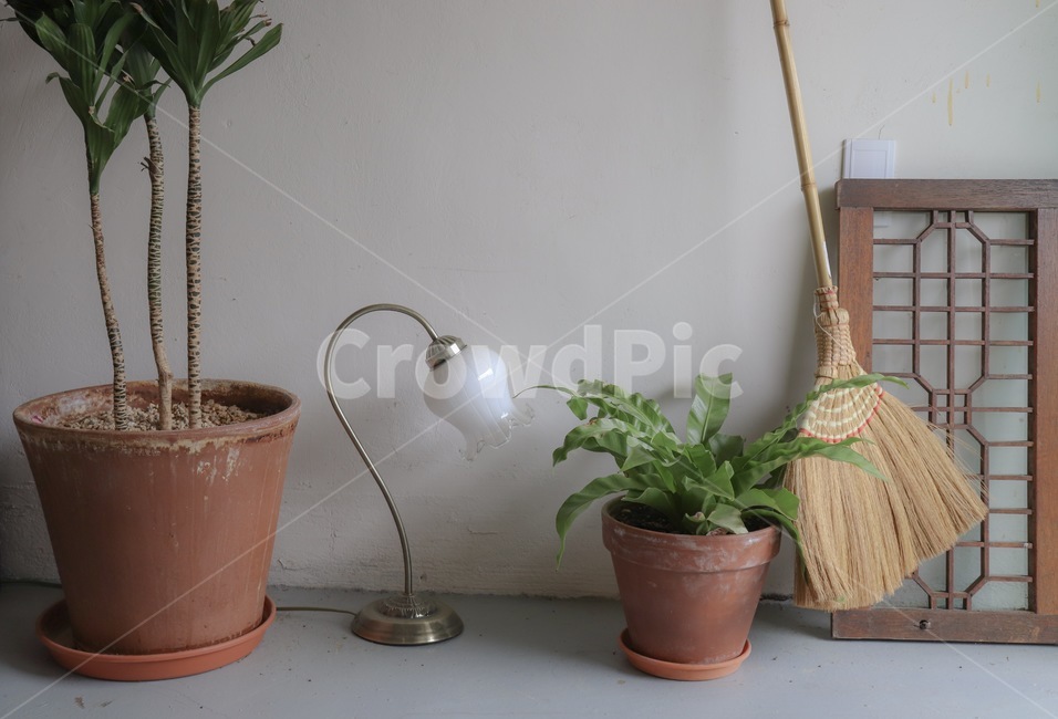 실내인테리어,조명,빗자루,나무,화분,빈티지,인테리어,실내디자인,interior design