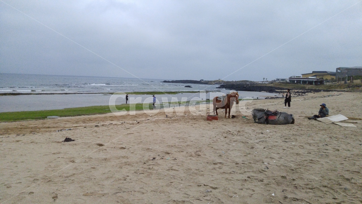 제주,제주도,바다,바닷길,해안,바닷가,해변,파도,하늘,물,sea,water,자연,nature,ocean,land