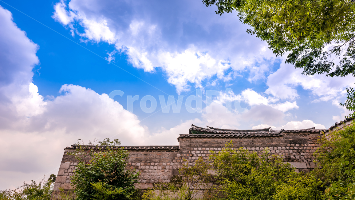 창경궁,궁전,전통,조선시대,건물,한국전통,한국문화,korean traditional,korean culture,건축물,건물외관,exterior,building,structure,architecture,construction