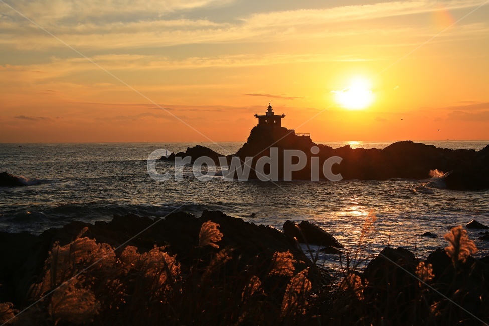 ocean,대양,water,물,sea,바다,nature,자연,promontory,곶,dawn,새벽,redsky,붉은하늘,sky,하늘,outdoors,옥외,sunlight,햇빛,light,빛,flare,플레어,부산,기장,오랑대,오랑대공원,오랑대아침,오랑대일출,여명,일출