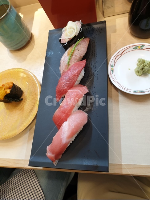 일본,도쿄,스시,연어,참치