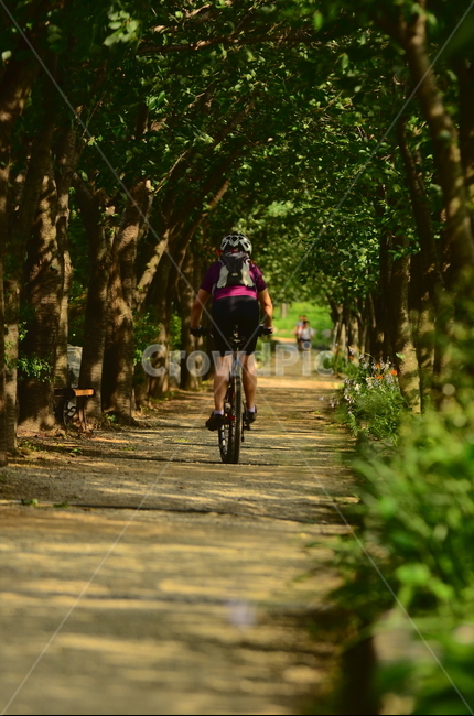 bicycle,자전거,사람,bike,교통,차량,숲속,나무,싸이클,운동,자전거여행,여행,휴가,traveling,vacation,trip,스포츠,레저,운동,sports,leisure,exercise