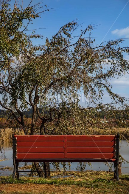 furniture,가구,bench,벤치,가을