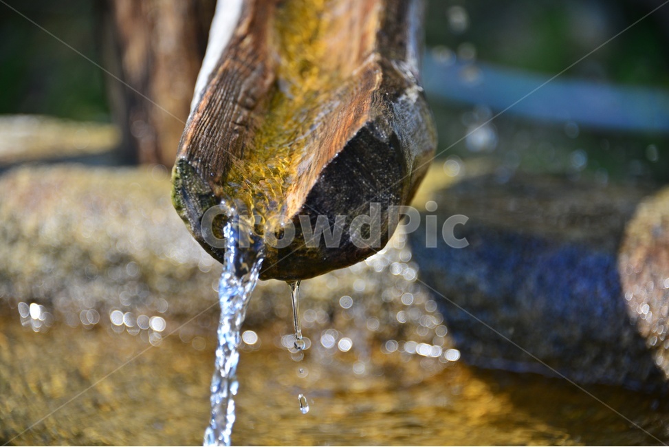 water,물,감로수,약수,약수터,감로약수,청정수