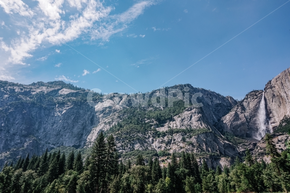 자연,미국,요세미티,usa,yosemite,nature,여행,travel,mountains,trees,자연,풍경,nature,landscape,해외,외국,세계,foreign,oversea,world,세계자연풍경,해외자연풍경,외국자연풍경,world nature landscape,tree,나무,plant,식물,fir,전나무,abies,아비