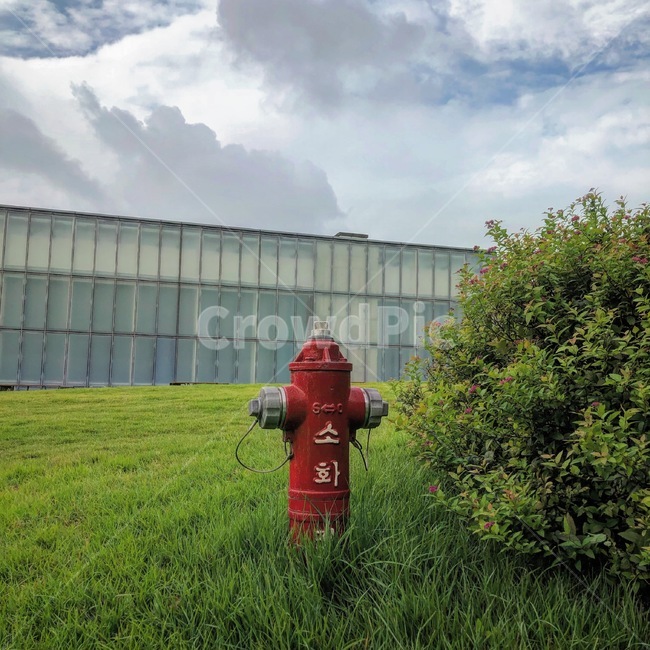 hydrant,firehydrant,소화전,외로운,조화