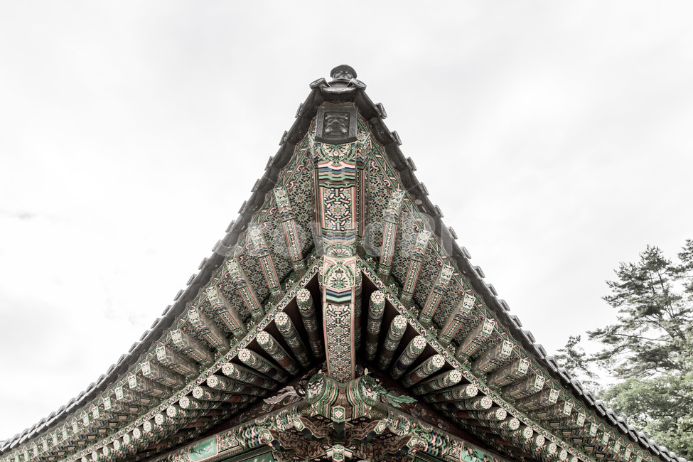 처마,단청,사찰,문양,패턴,추녀,지붕,전통가옥,기와,채색,한국전통,한국문화,korean traditional,korean culture,건축물,건물외관,exterior,building,structure,architecture,construction