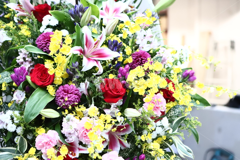 plant,식물,flowerbouquet,꽃부케,blossom,flowerarrangement,꽃꽂이,flower,꽃