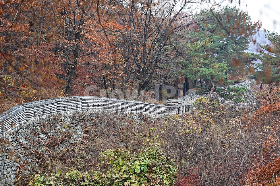 남한산성,성,성곽,단풍,낙엽,길,둘레길,숲,숲길,담,돌담,가을,자연,풍경,벽,울긋불긋,산성,식물,가을,계절,fall,autumn,season