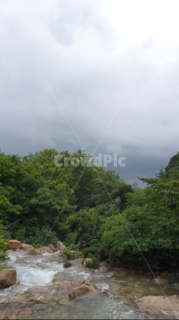 자연,숲,숲길,나무,흙,푸른숲,tree,산,계곡,water,물,nature,outdoors,stream,흐름,구름