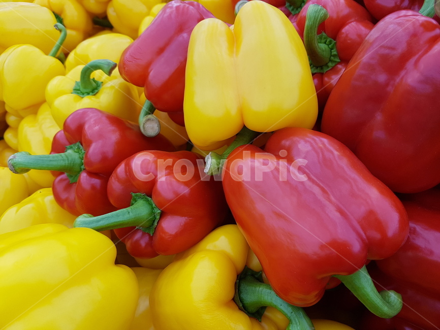 파프리카,채소,빨강,노랑,야채,음식,식재료,요리,food,cook,meal,dishes,food reserves,채소,야채,vegetables