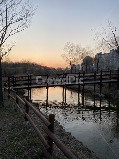 water,pier,banister,교각,port,waterfront,포트,handrail,난간,dock,워터프론트,독