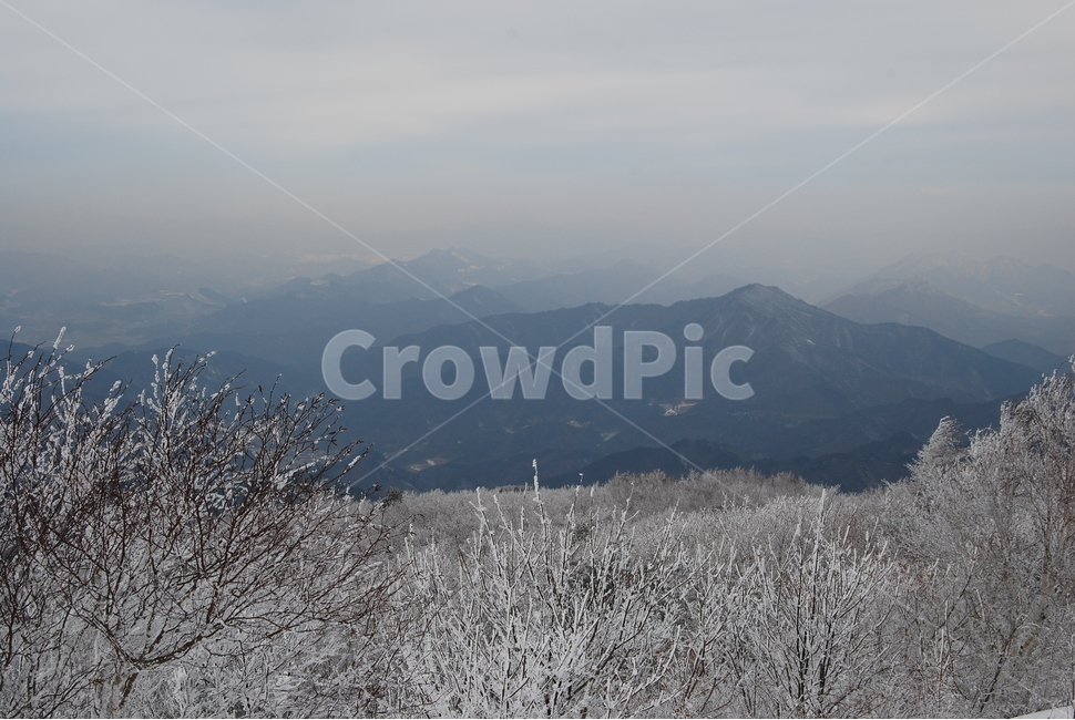 소백산,겨울,설경,snow,자연,겨울,계절,winter,season,자연,풍경,nature,landscape,outdoors,옥외,tree,나무,plant,식물