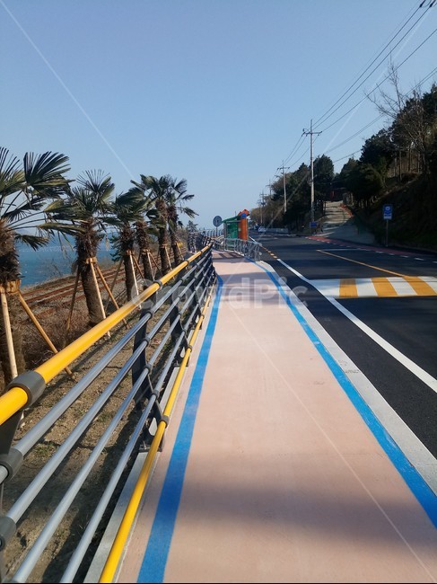 도로,자전거길,자전거,레일바이크,road,교통,교통수단,traffic,transportation