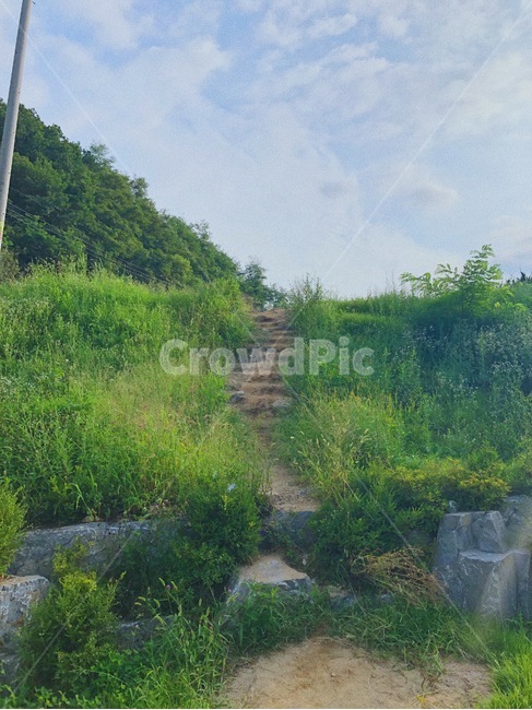 자연,nature,지름길,오솔길,계단,시골,풀