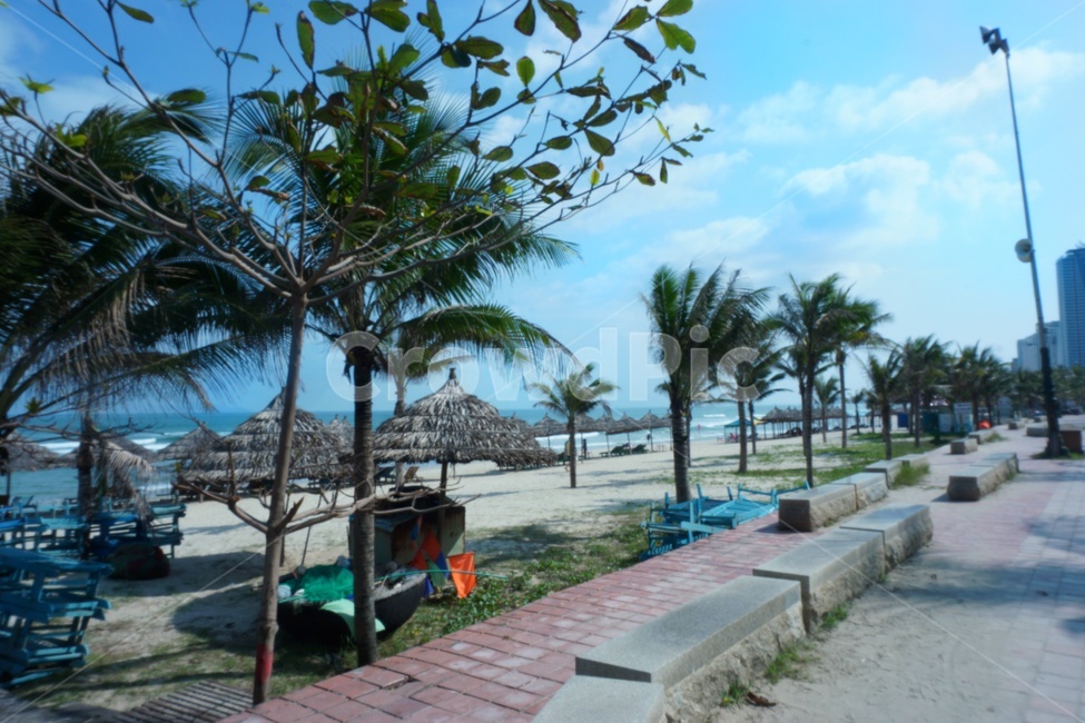 summer,여름,해변,beach,모래사장,하늘,바다,나무