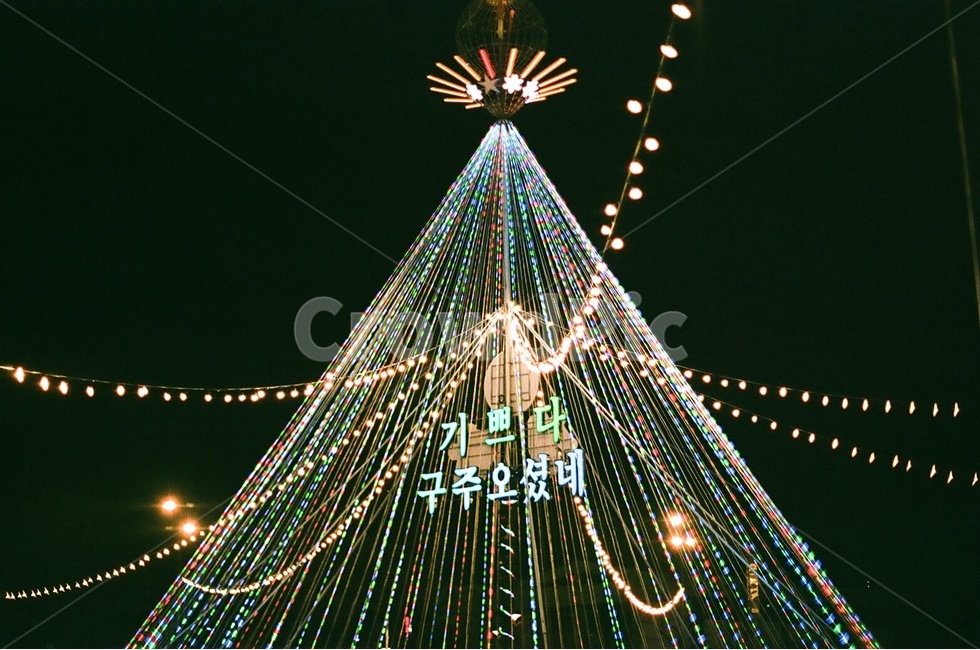 연말,조명,크리스마스,빛,야경,밤,밤하늘,christmas,happynewyear,light,night,대형트리,분위기,기쁨,설렘,겨울,감성,겨울,계절,winter,season,야경,밤,풍경,nightscape,night,landscape,나무,trees,wood,종교,신앙,religion,belief,faith,기념일,축하,anniversary,congratulation,celebrate,celebration,메리크리스마스,성탄절,merry christmas,lighting