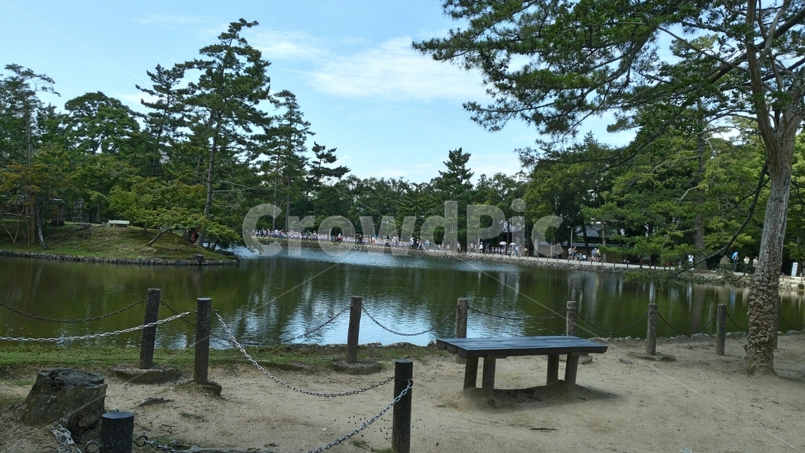 벤치,공원,호수,자연,park