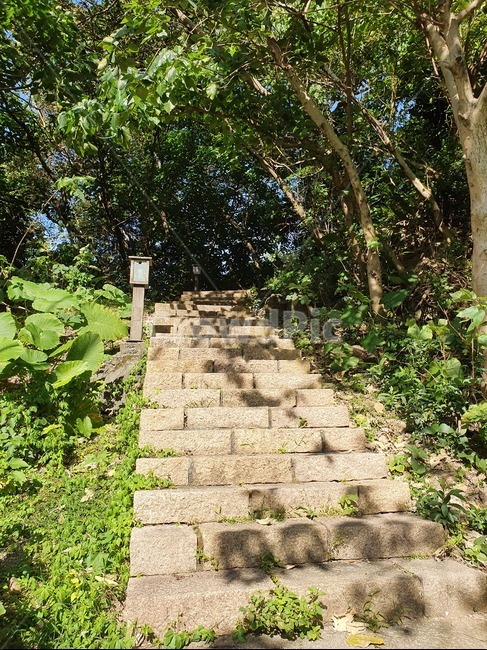 flagstone,판석,path,정원,보도,outdoors,옥외,garden,정자,walkway