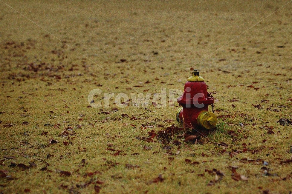 잔디,잔디밭,낙엽,소화전,빨간색,계절,휴식,힐링,rest,healing,firehydrant,가을,계절,fall,autumn,season,hydrant,fire hydrant