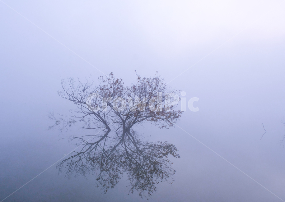 저수지,물,반영,나누,자연,안개,자연,풍경,nature,landscape,weather,날씨,outdoors,옥외,fog
