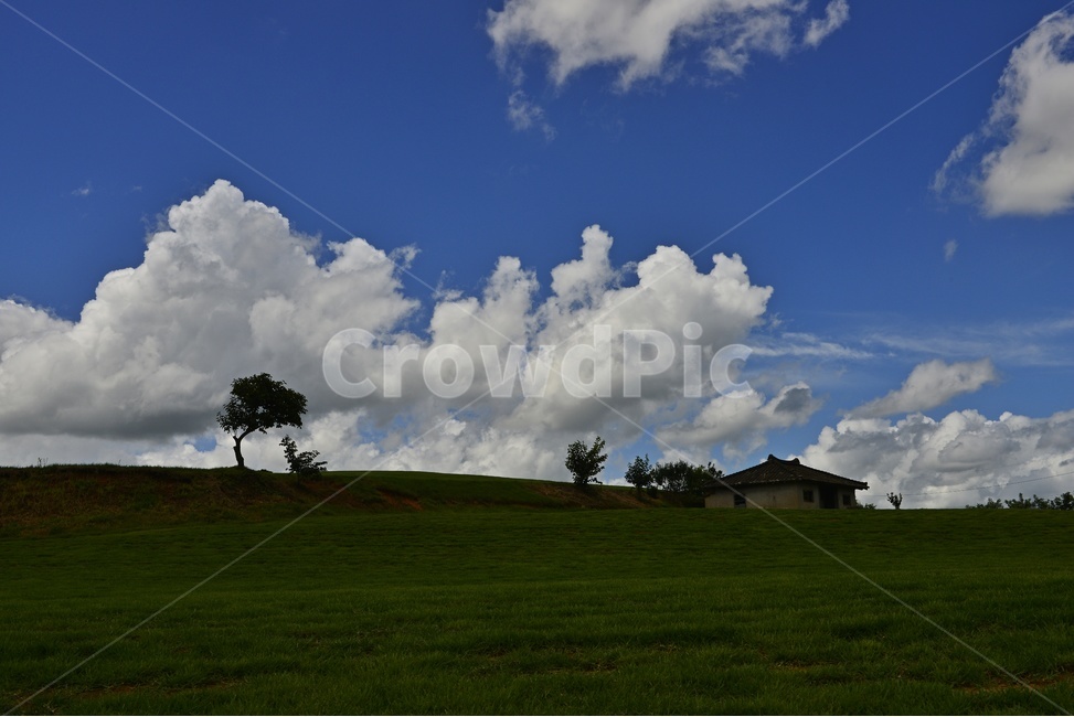 장성,삼서,외딴집,nature,자연,weather,날씨,outdoors,옥외,grass,잔디,plant,식물,cloud,구름,sky,하늘,cumulus,적운,경치,풍경,경관