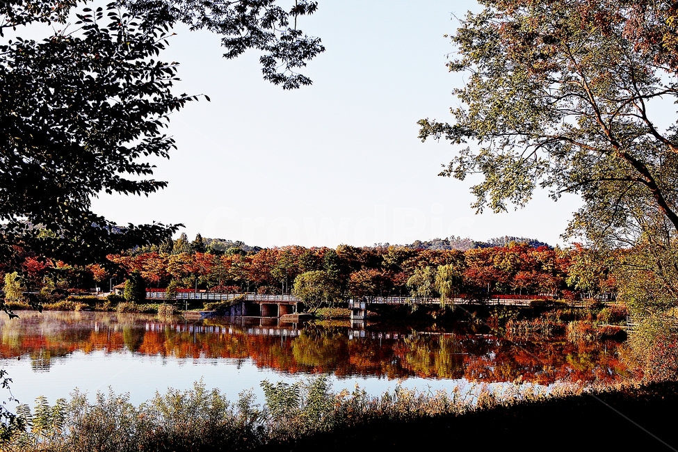 호수,단풍,아침,인천대공원,물안개,물,식물,나무,자연,풍경,공원,가을,계절,fall,autumn,season,자연,풍경,nature,landscape,tree,plant,water,outdoors,옥외