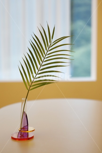 나무잎,잎,조화,창문,향기,실내용화초,화분,화초,house plant