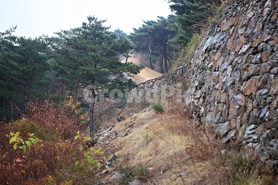 전등사,산성,성,성곽,길,둘레길,숲,숲길,담,돌담,가을,자연,풍경,식물,벽,방어벽,낙엽,단풍,가을,계절,fall,autumn,season,자연,풍경,nature,landscape