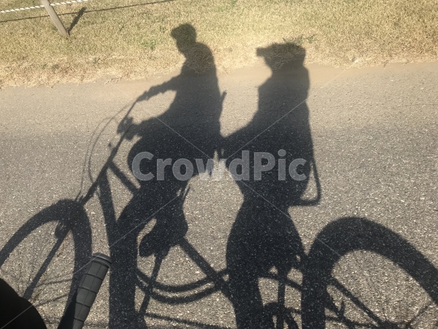 가을,낙엽,공원,나무,풍경,인물실루엣,사람실루엣,character silhouette,human silhouette,스포츠,레저,운동,sports,leisure,exercise,bicycle,자전거,vehicle,차량,bike,transportation,교통