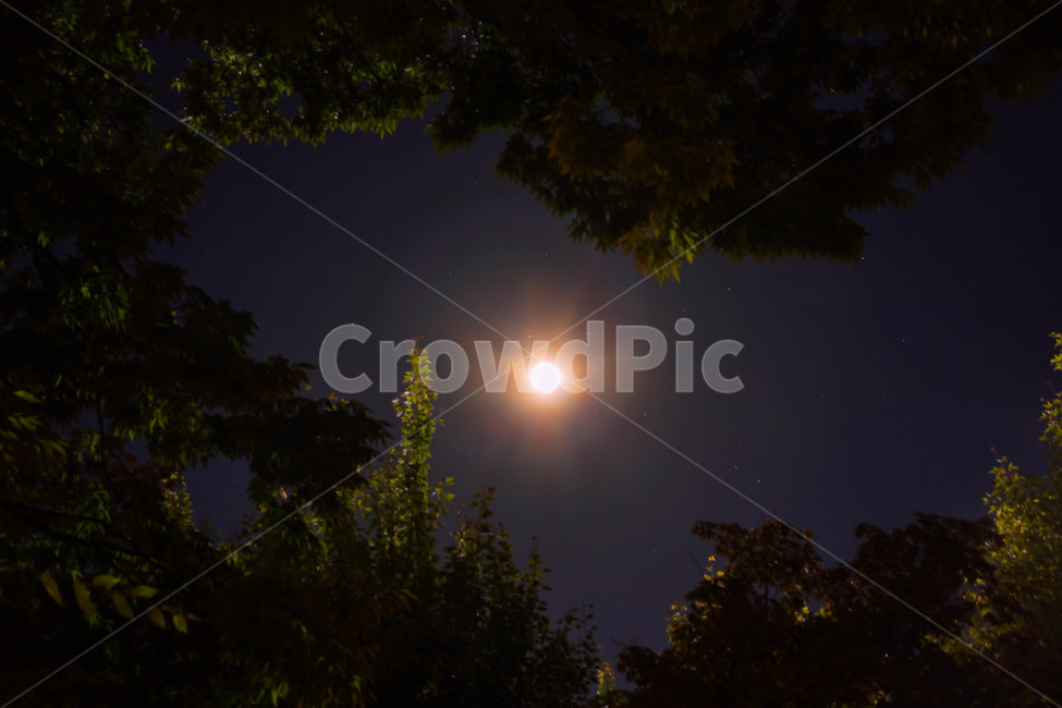 달,보름달,하늘,구름,감성,moon,fullmoon,cloud,sky,moody,자연,nature,밤,자연,풍경,nature,landscape,야경,밤,nightscape,night,outdoors,옥외