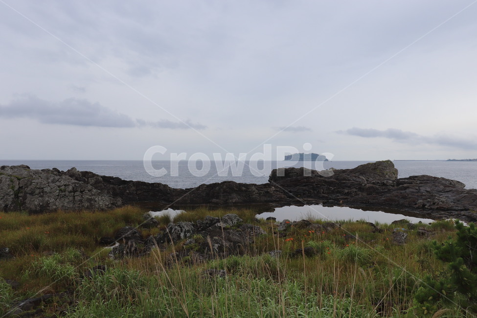 제주도,서귀포,새섬,흐린날,아침산책,자연,풍경,nature,landscape,제주도,jeju,jeju island,outdoors,옥외,land,땅
