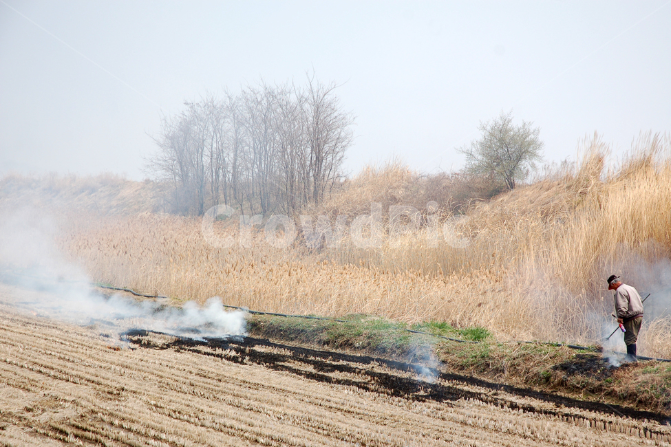 논둑,불,연기,겨울,논,산업,industry,industrial,농업,농사,agriculture,farming,farming industry