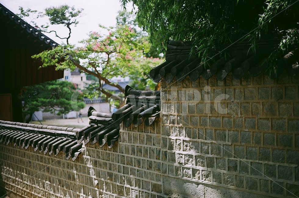 한옥마을,풍경,사진,필름,전주,minoltax700,한국전통,한국문화,korean traditional,korean culture